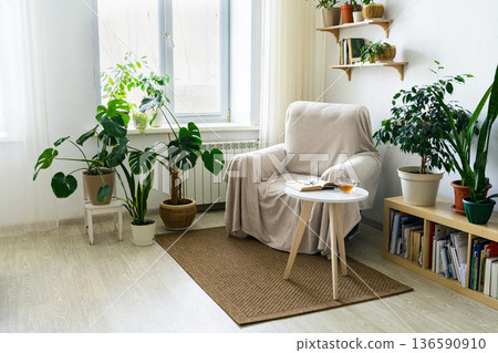 Cozy reading nook with armchair, plants, and natural light in minimalist interior Cozy reading nook with armchair, plants, and natural light in minimalist interior 136590910