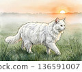 White fluffy cat in the morning fog 136591007