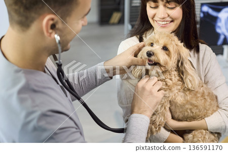 Veterinarian examining poodle mix dog with owner during routine checkup at clinic 136591170