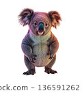 Koala Standing With a Cheerful Expression in a Bright Setting During the Daytime 136591262
