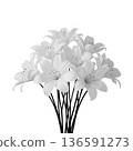 White Flowers Arranged in a Bouquet on a Plain Background in a Simple Display of Natures Beauty 136591273