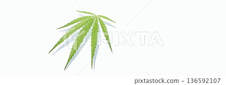 Single green cannabis leaf on white background with soft shadows, isolated Single green cannabis leaf on white background with soft shadows, isolated 136592107