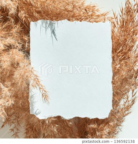 Blank white paper on rustic beige dried pampas grass background for artistic 136592138
