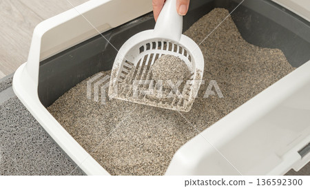 Hand holding a white scoop removing cat litter from a gray litter box, with clean litter visible inside the container 136592300