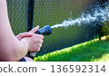Person holding garden hose spraying water onto green grass in a backyard with a black fence in the background 136592314