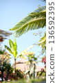 Palm tree leaves with tropical beach bar in the background summer vacation vibe. 136592395