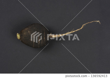 Black Radish Horizontal 136592413