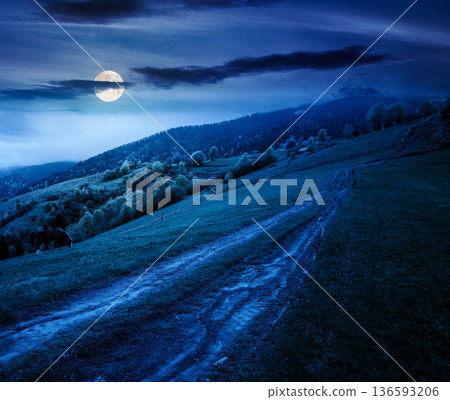 dirt road winding through green rolling hills at night. rural landscape in mountain range in full moon light. countryside vista under dark sky in spring. parks and outdoors mysterious fantasy 136593206