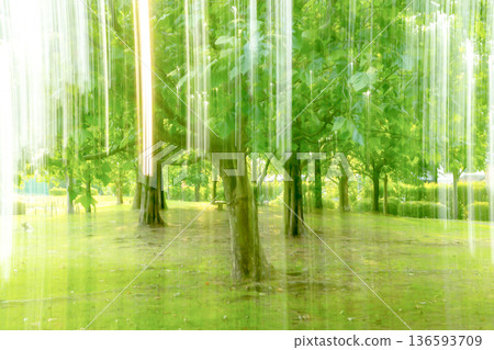 陽光明媚的公園裡的樹木藝術 陽光明媚的公園裡的樹木藝術 136593709