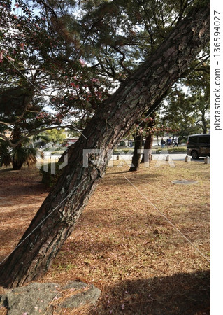 2024年，福岡，福岡市，景觀，中央區，大濠公園，大濠公園，第55部分 136594027