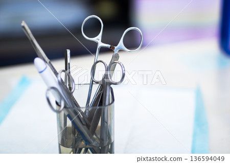 Dedicated medical worker guarantees sanitized dental instruments and proper setup 136594049