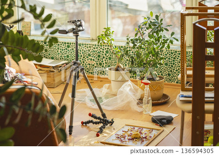 Sunlit home studio with tripod, indoor plants, creative still life setup on wooden floor near window, photographer workspace, indoor studio, creative process in cozy apartment, artistic workflow Sunlit home studio with tripod, indoor plants, creative still life setup on wooden floor near window, photographer workspace, indoor studio, creative process in cozy apartment, artistic workflow 136594305