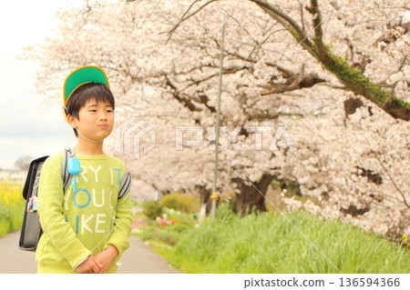 Elementary school student carrying a school bag Elementary school student carrying a school bag 136594366