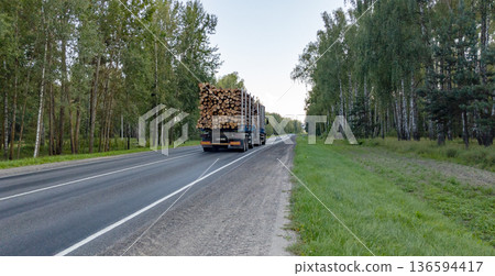 Industrial wood carrier cargo vessel truck trailer with big timber pine, spruce, cedar driving on asphalt road with green forest. Back view. Industrial wood carrier cargo vessel truck trailer with big timber pine, spruce, cedar driving on asphalt road with green forest. Back view. 136594417