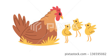 Cute hen with chicken family 136595082