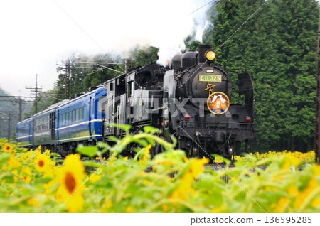 A powerful run along the Kinugawa River amidst blooming sunflowers... [SL Daiki] at Kuragasaki SL Square 136595285