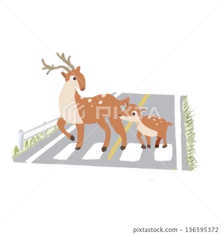 A parent and child deer crossing a crosswalk - Illustration of road safety and caution against wild animals jumping out A parent and child deer crossing a crosswalk - Illustration of road safety and caution against wild animals jumping out 136595372