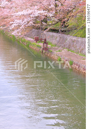 Spring scenery of the Okazaki Canal in Kyoto Spring scenery of the Okazaki Canal in Kyoto 136596477