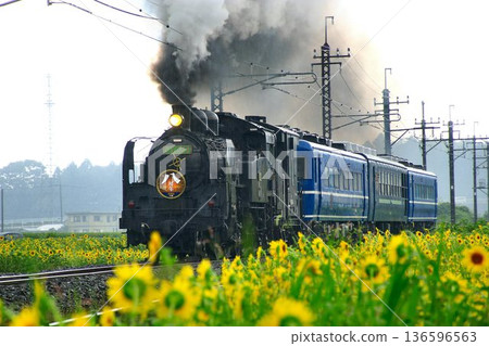 沿著鬼怒川奔跑，周圍環繞著盛開的向日葵…[SL Daiki] 位於倉崎SL廣場 136596563