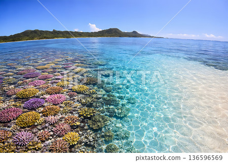 碧綠的海水和潔白的沙灘，景色壯麗 136596569