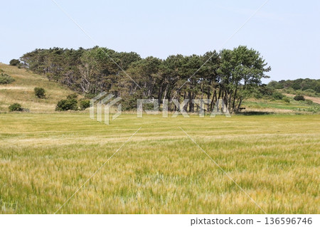 Landscape on the island of Tuno in Denmark Landscape on the island of Tuno in Denmark 136596746