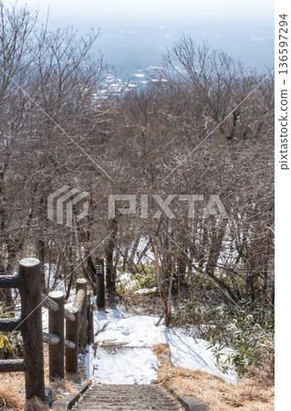 Snow-covered nature trail Snow-covered nature trail 136597294