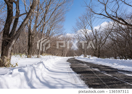 Road in the snowy forest Road in the snowy forest 136597311