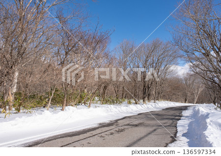 Road in the snowy forest Road in the snowy forest 136597334