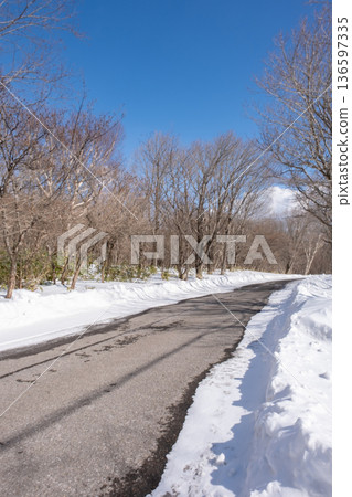 Road in the snowy forest Road in the snowy forest 136597335