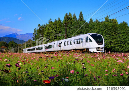 Tobu Limited Express [Spacia X] N100 series running along the Kinugawa road lined with cosmos 136598091