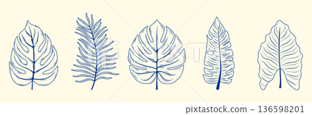 Hand drawn Tropical leaf vector set. Includes monstera, palm and other exotic plant elements. Monochrome blue ink vector illustration Hand drawn Tropical leaf vector set. Includes monstera, palm and other exotic plant elements. Monochrome blue ink vector illustration 136598201