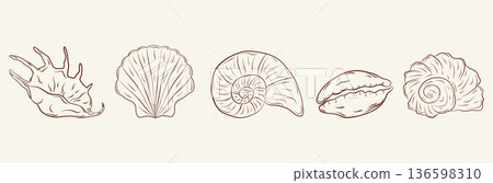 Set of hand-drawn seashells in monochrome blue ink. Tropical beach shells. Summer vacation design elements. Vector illustration. Set of hand-drawn seashells in monochrome blue ink. Tropical beach shells. Summer vacation design elements. Vector illustration. 136598310