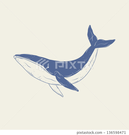 Hand-drawn blue whale icon. Marine animal. Monochrome blue ink. Vector illustration. 136598471