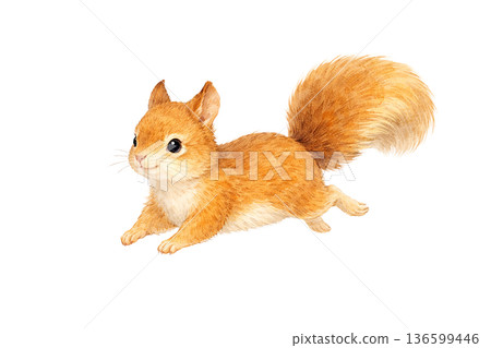 松鼠奔跑的風景水彩小動物可愛插圖剪貼畫素材 136599446