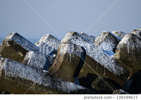 Frozen tetrapods Frozen tetrapods 136599615