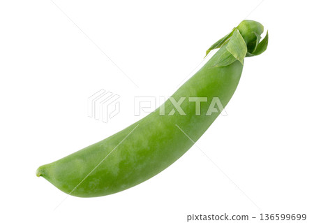 One snap pea (pod) on a transparent background (png) One snap pea (pod) on a transparent background (png) 136599699