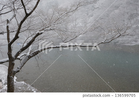 大井江的雪景 136599705