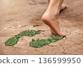 green leaf growing footprints, co2 symbol isolated on White Background. Reduce CO2 emission concept.Clean and friendly environment without carbon dioxide emissions. 136599950