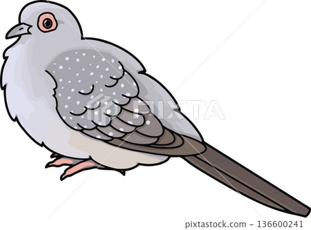 Illustration of a pale snow dove (landscape, transparent background) 136600241