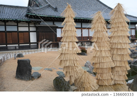 Cycads in the Ninomaru Garden of Nijo Castle 136600333