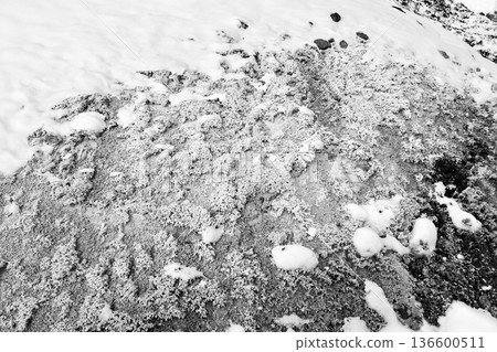 Snow-covered "Noboribetsu Jigokudani in January" - the rugged mountain surface "black and white" Snow-covered "Noboribetsu Jigokudani in January" - the rugged mountain surface "black and white" 136600511