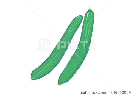 手繪兩根新鮮黃瓜插圖 136600999