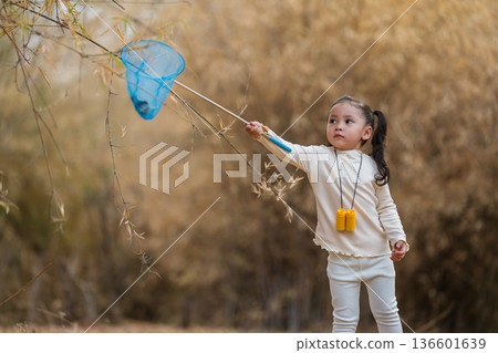 Little child girl holding blue butterfly net exploring the dry forest Little child girl holding blue butterfly net exploring the dry forest 136601639