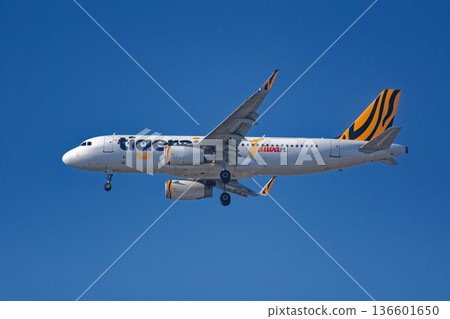 台灣虎航空客A320 136601650