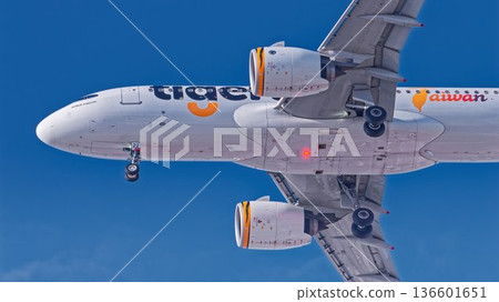 Tigerair Taiwan Airbus A320 Tigerair Taiwan Airbus A320 136601651