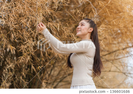 Beautiful woman posing among dry bamboo branches forest in nature. Beautiful woman posing among dry bamboo branches forest in nature. 136601686