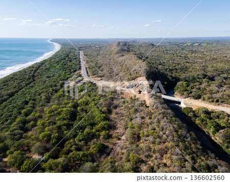 Coastal road beside forested area with mountain in the background 136602560
