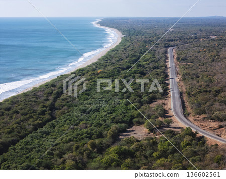 Coastal road near beach with trees and ocean view in daylight Coastal road near beach with trees and ocean view in daylight 136602561