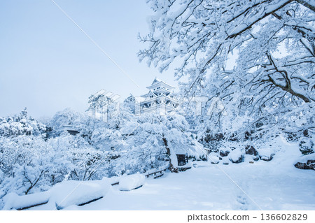 Gujo Hachiman Castle (Winter) 136602829