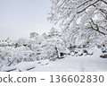 郡上八幡城（冬季） 136602830